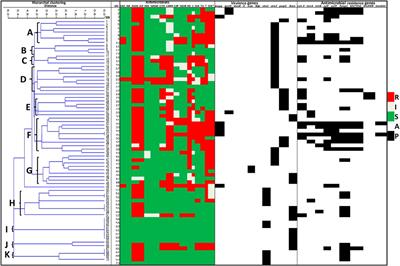 High Levels of Multi Drug Resistant Escherichia coli Pathovars in Preharvest Environmental Samples: A Ticking Time Bomb for Fresh Produce Related Disease Outbreak